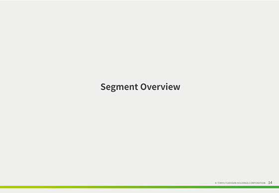 Segment Overview