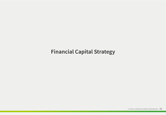 Financial Capital Strategy