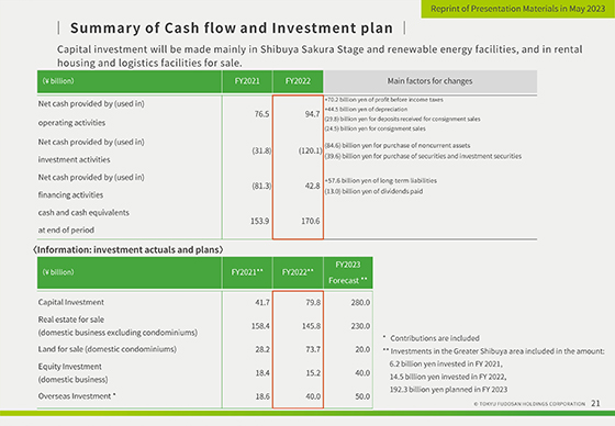 Summary of Cash flow and Investment plan