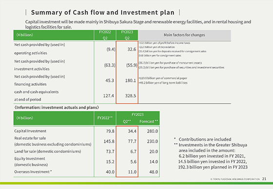 Summary of Cash flow and Investment plan