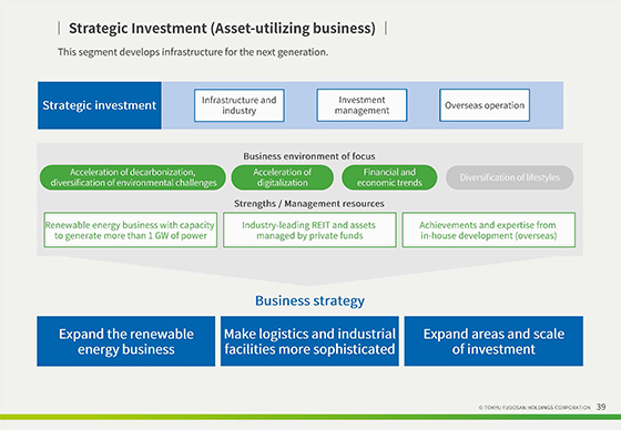 Strategic Investment (Asset-utilizing business)